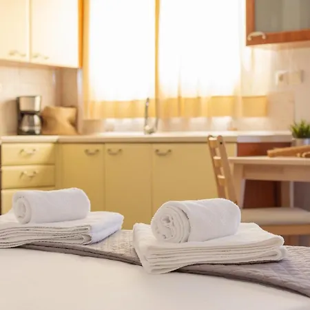 Cozy For 2 Ppl In Kato Patisia Αθήνα